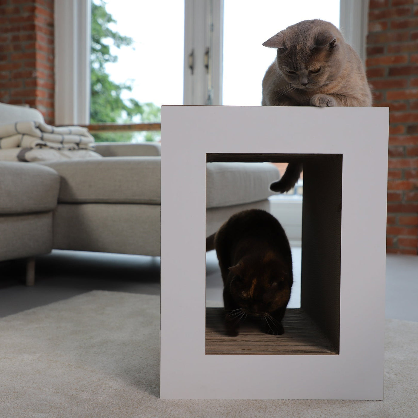 Table Scratching Lounge