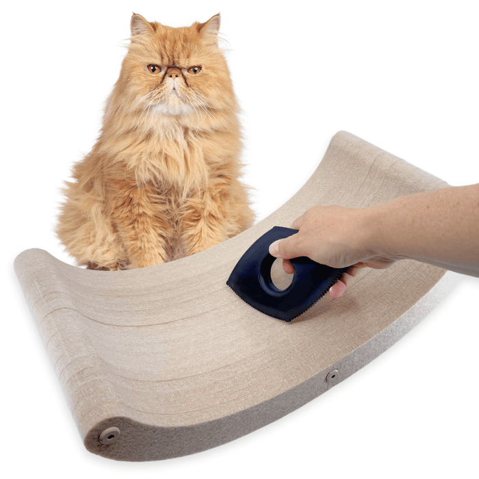 The Fur-nomenal Fur Remover, Pryde Pets