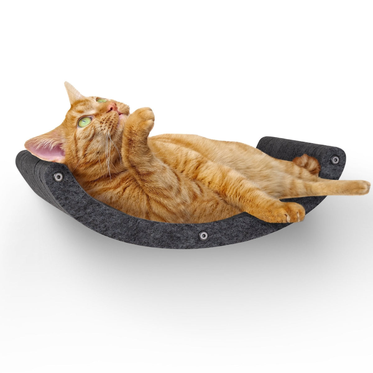 Curved Nest Cat Climber, Charcoal, Pryde Pets