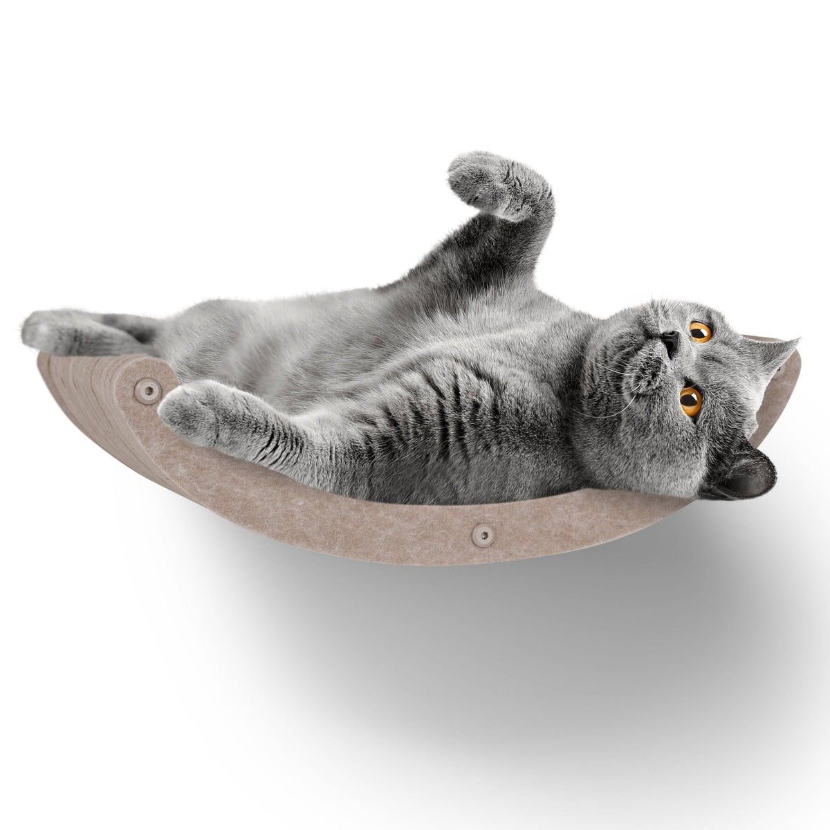Curved Nest Cat Climber, Oatmeal, Pryde Pets