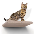 Long Lounger Cat Climber
