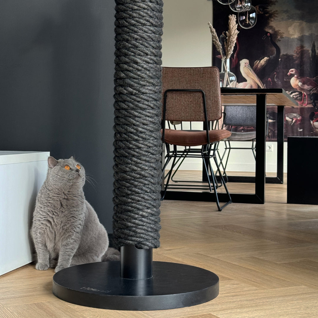 Totem Scratching Post