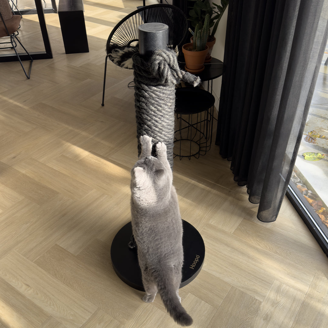 Totem Scratching Post