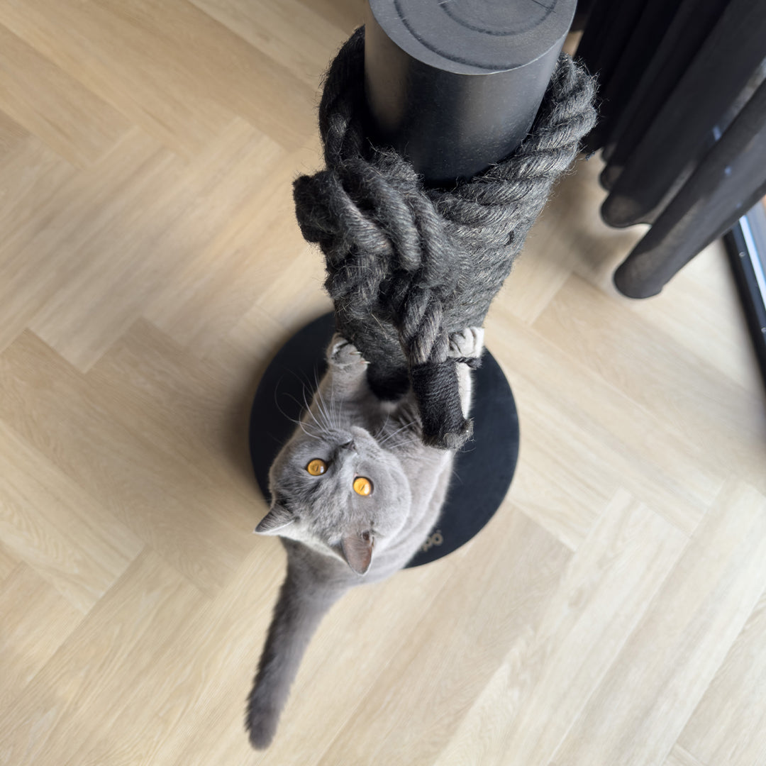 Totem Scratching Post