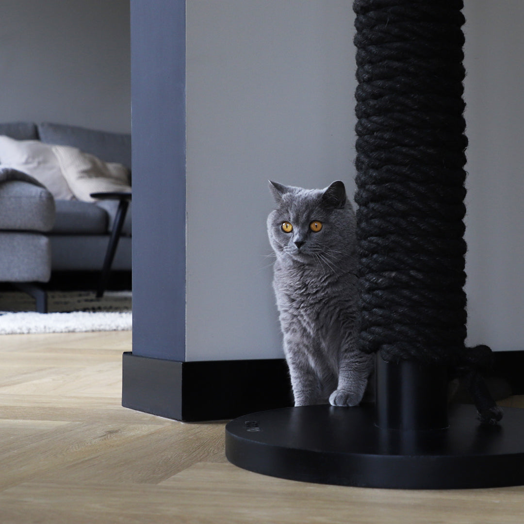 Totem Scratching Post
