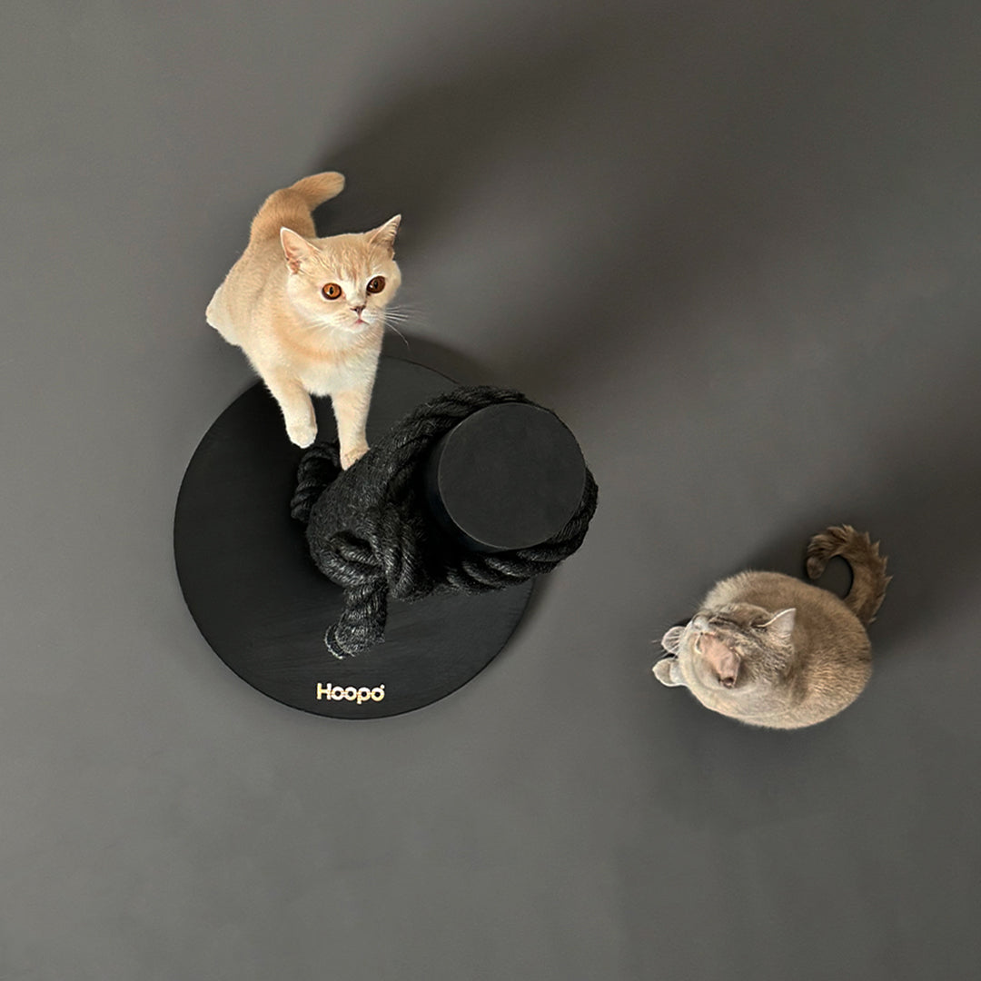 Totem Scratching Post