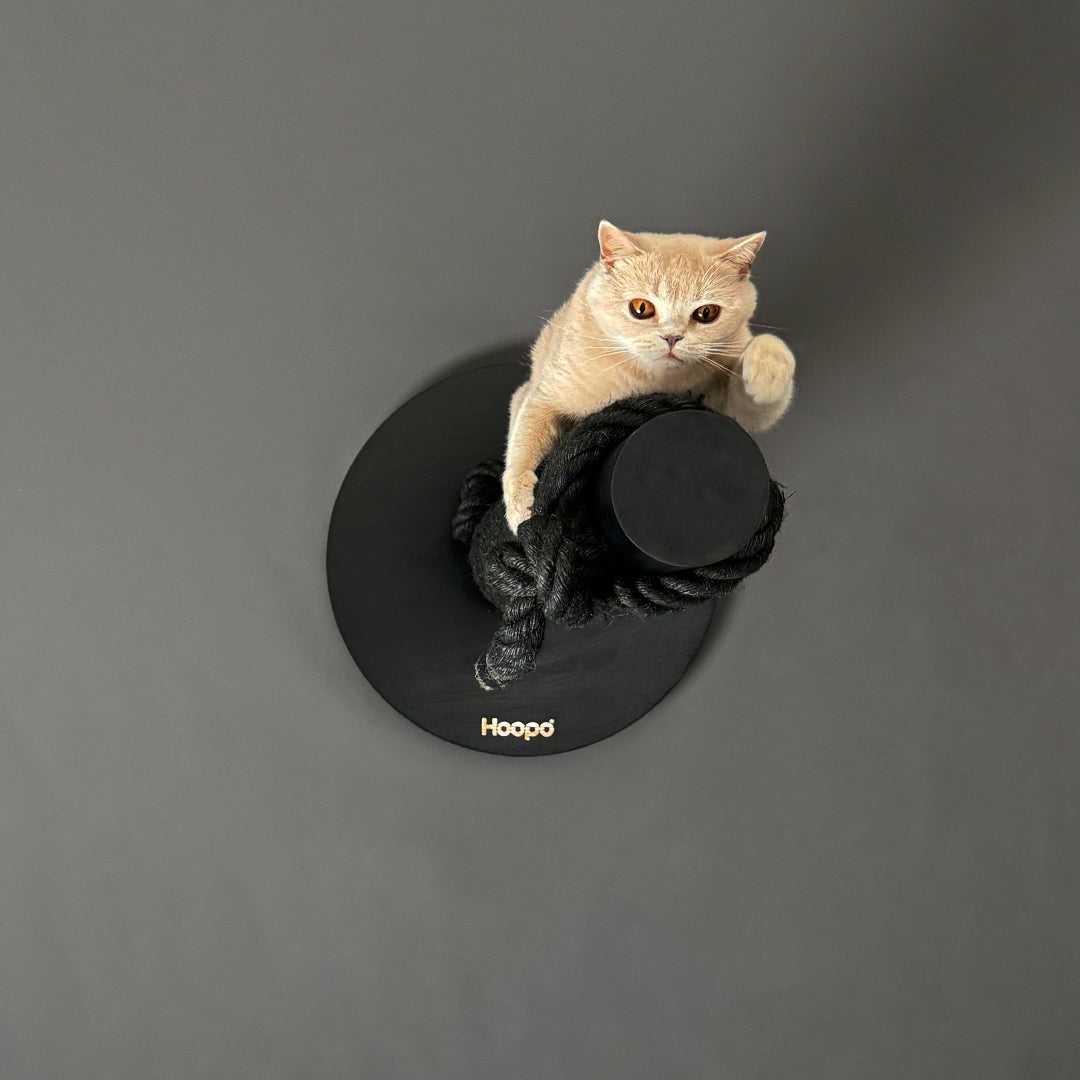 Totem Scratching Post