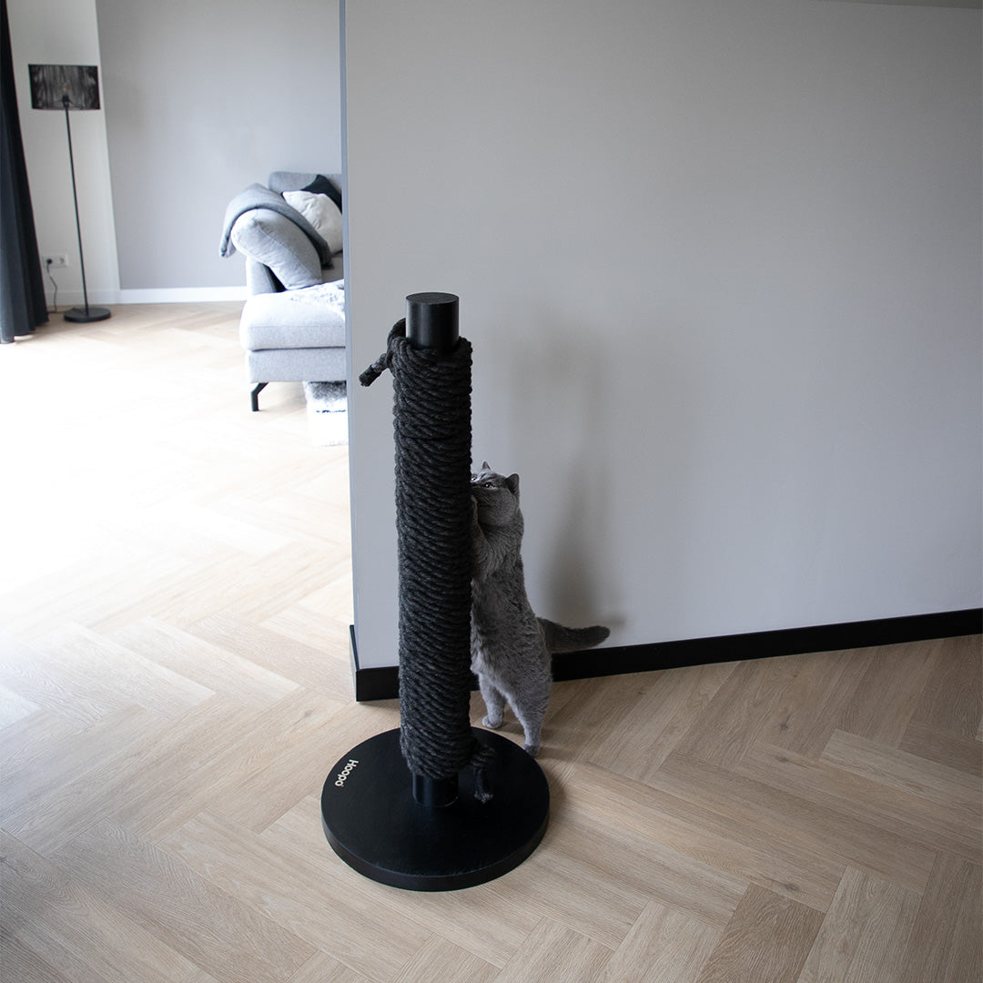 Totem Scratching Post