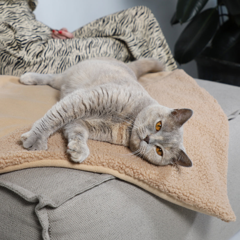 Tri Cat Blanket