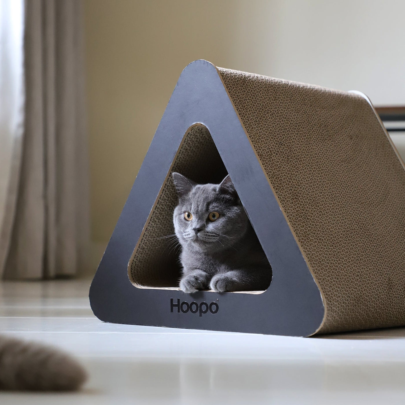 Triangle Scratcher