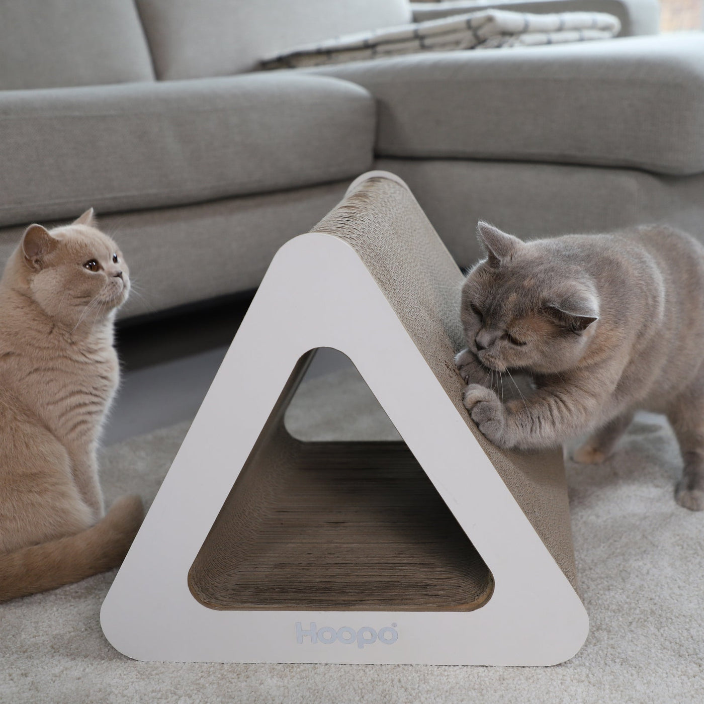 Triangle Scratcher