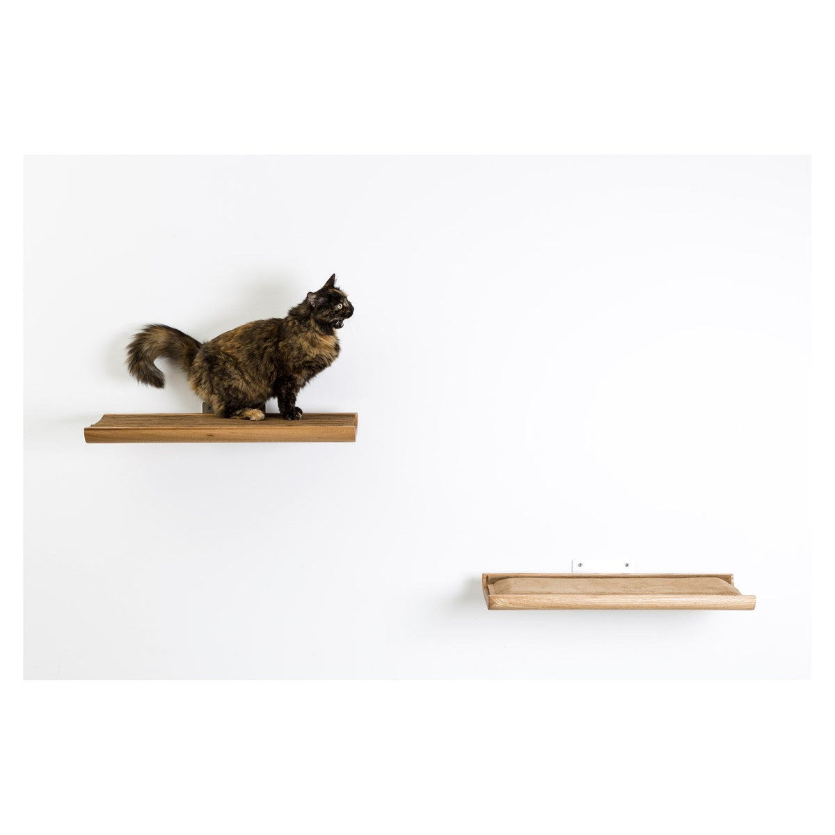 Trono Cat House by Brando, view 7