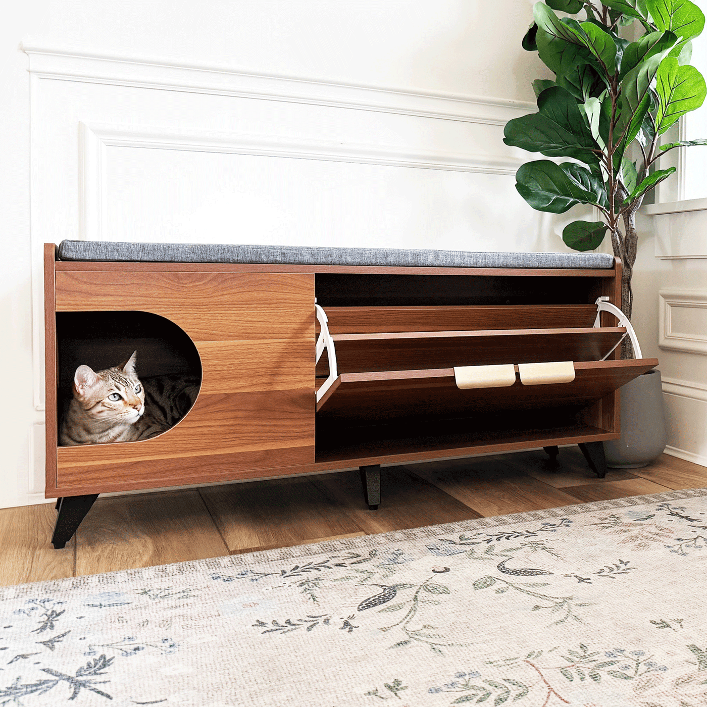 Tucker Cat Shoe Cabinet by 4Cats & Dogs, view 6