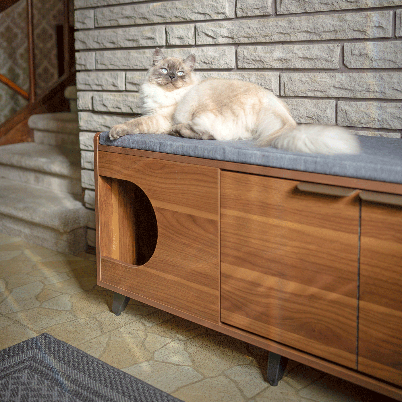 Tucker Cat Shoe Cabinet by 4Cats & Dogs, view 7