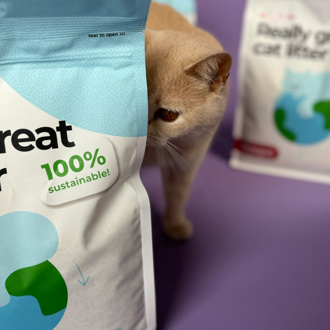 Tofu Natural Cat Litter