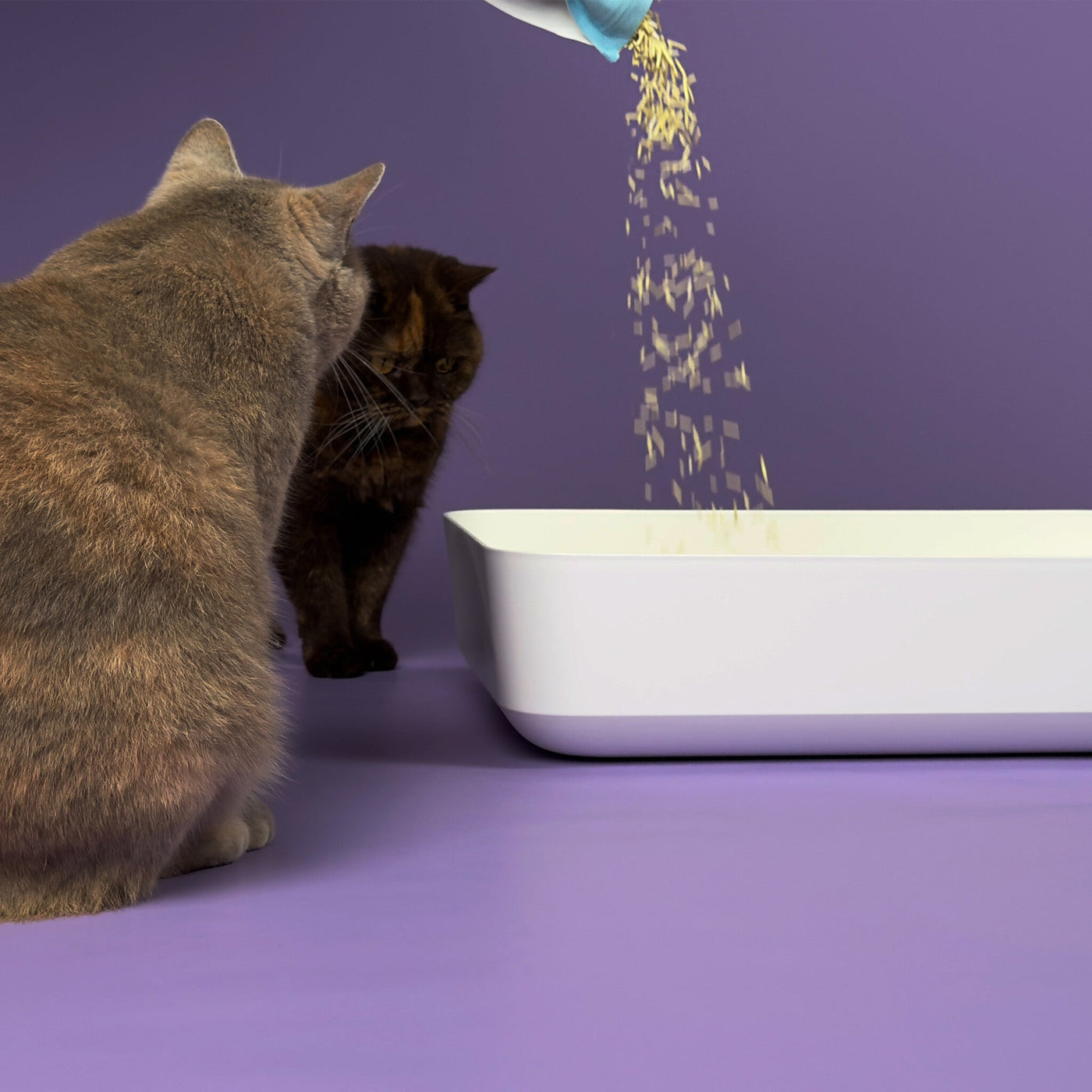 Tofu Natural Cat Litter
