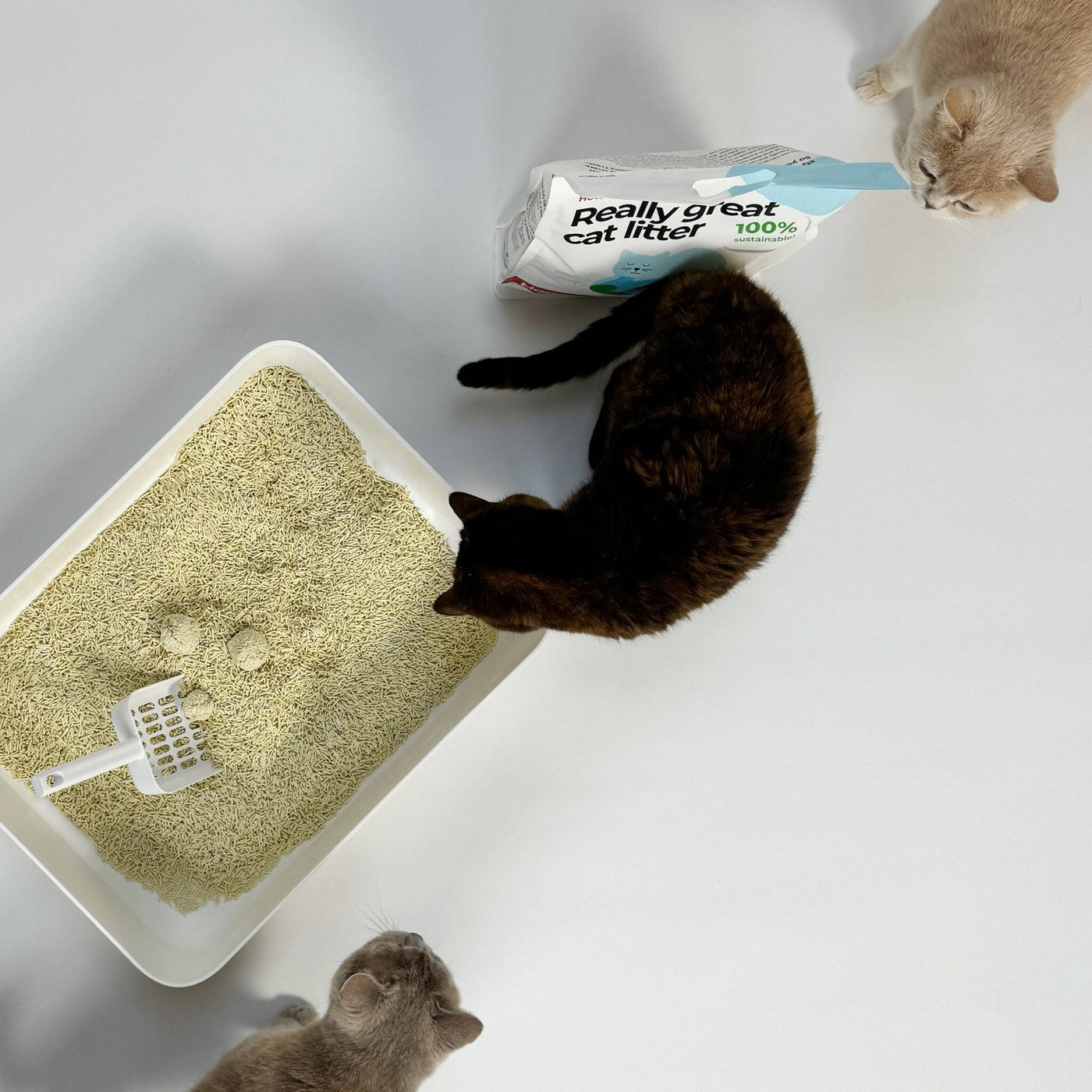 Tofu Natural Cat Litter
