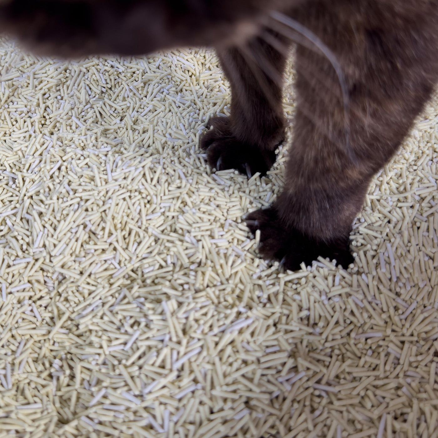 Tofu Natural Cat Litter