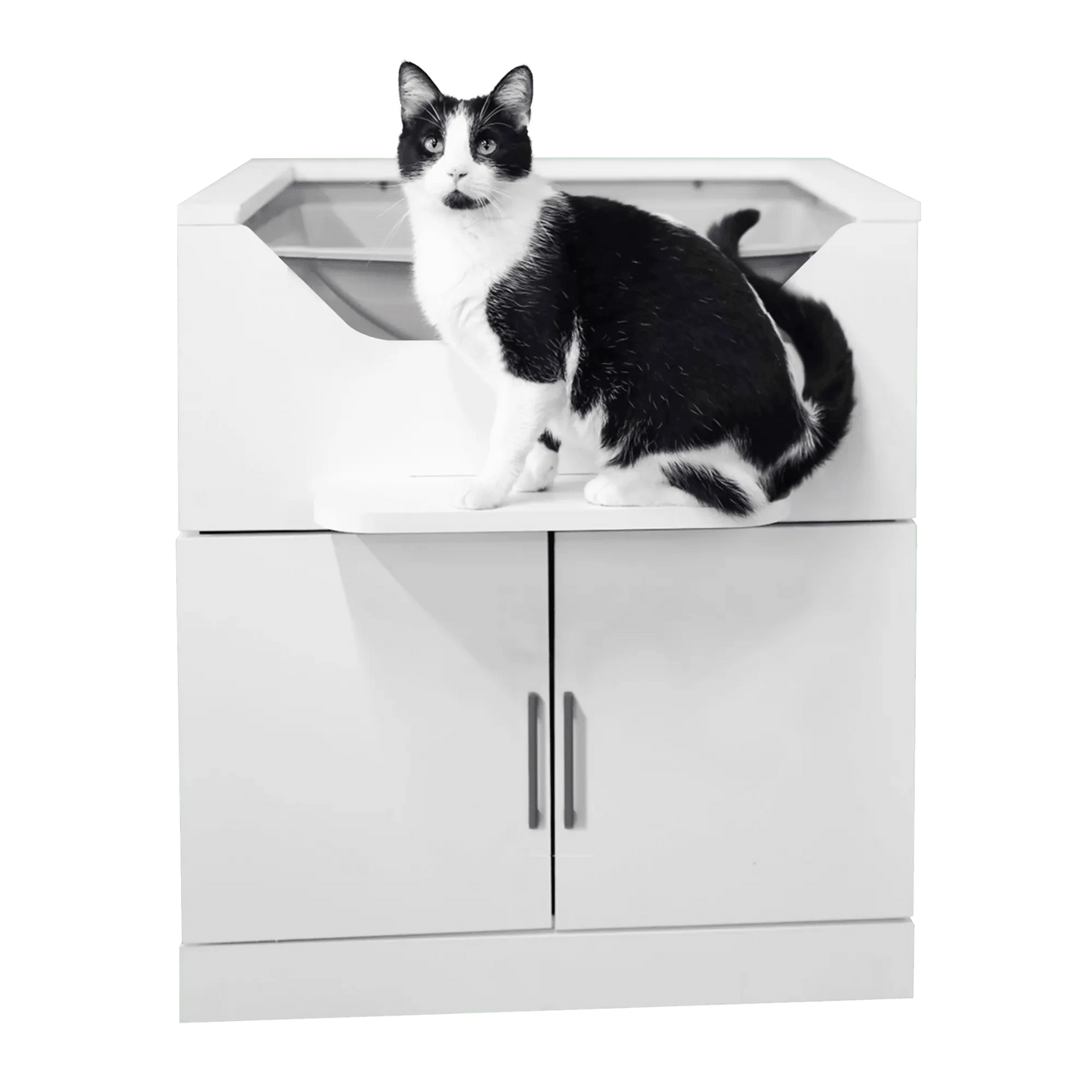 LoftyLoo raised wooden cat litter box with a cat standing on the top perch