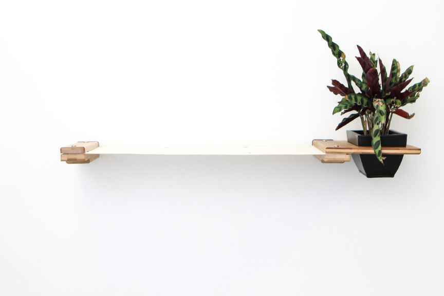 Cat Hammock Wall