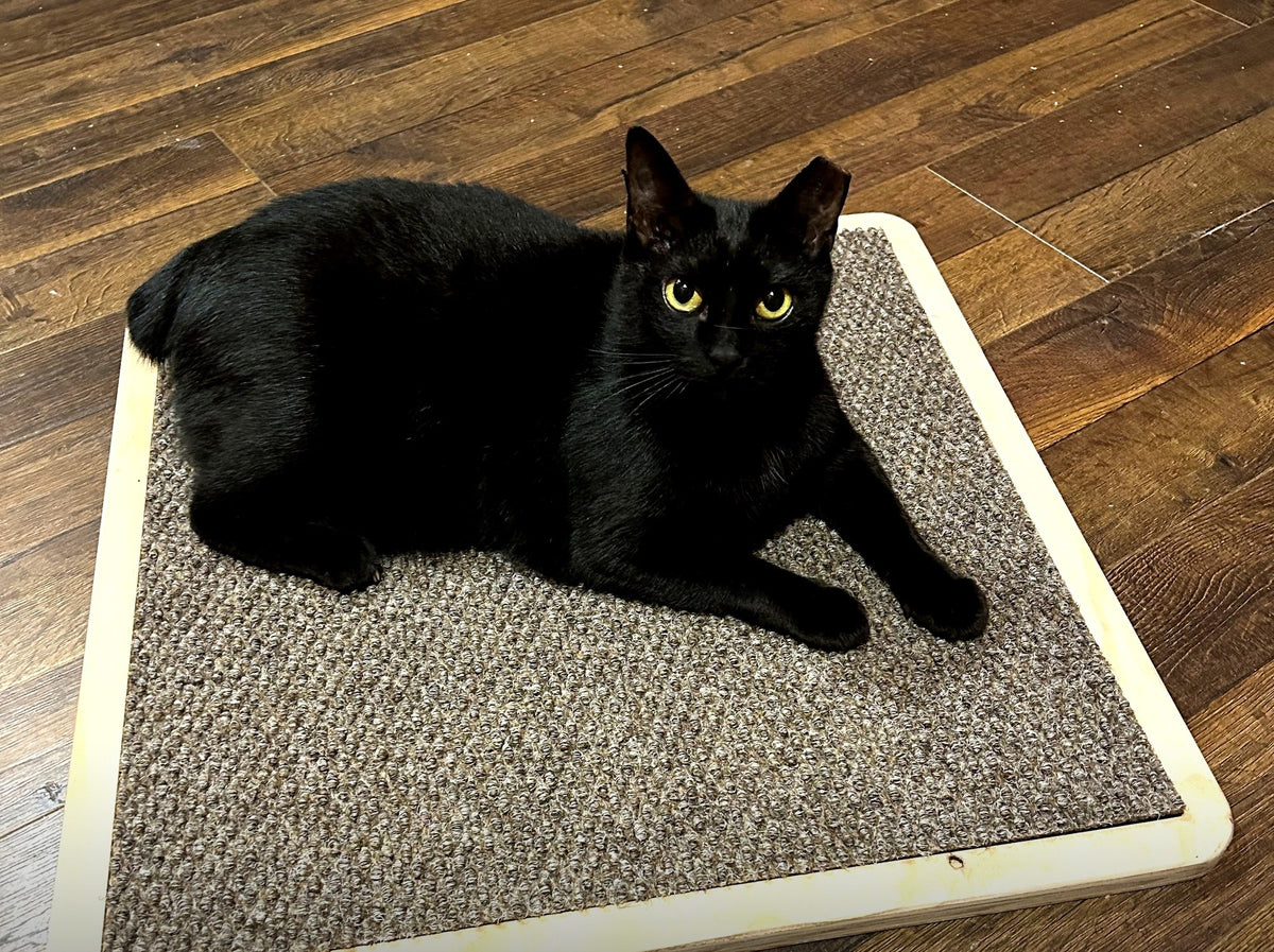 Claw Care Ultra Scratch Pad cat scratch pad