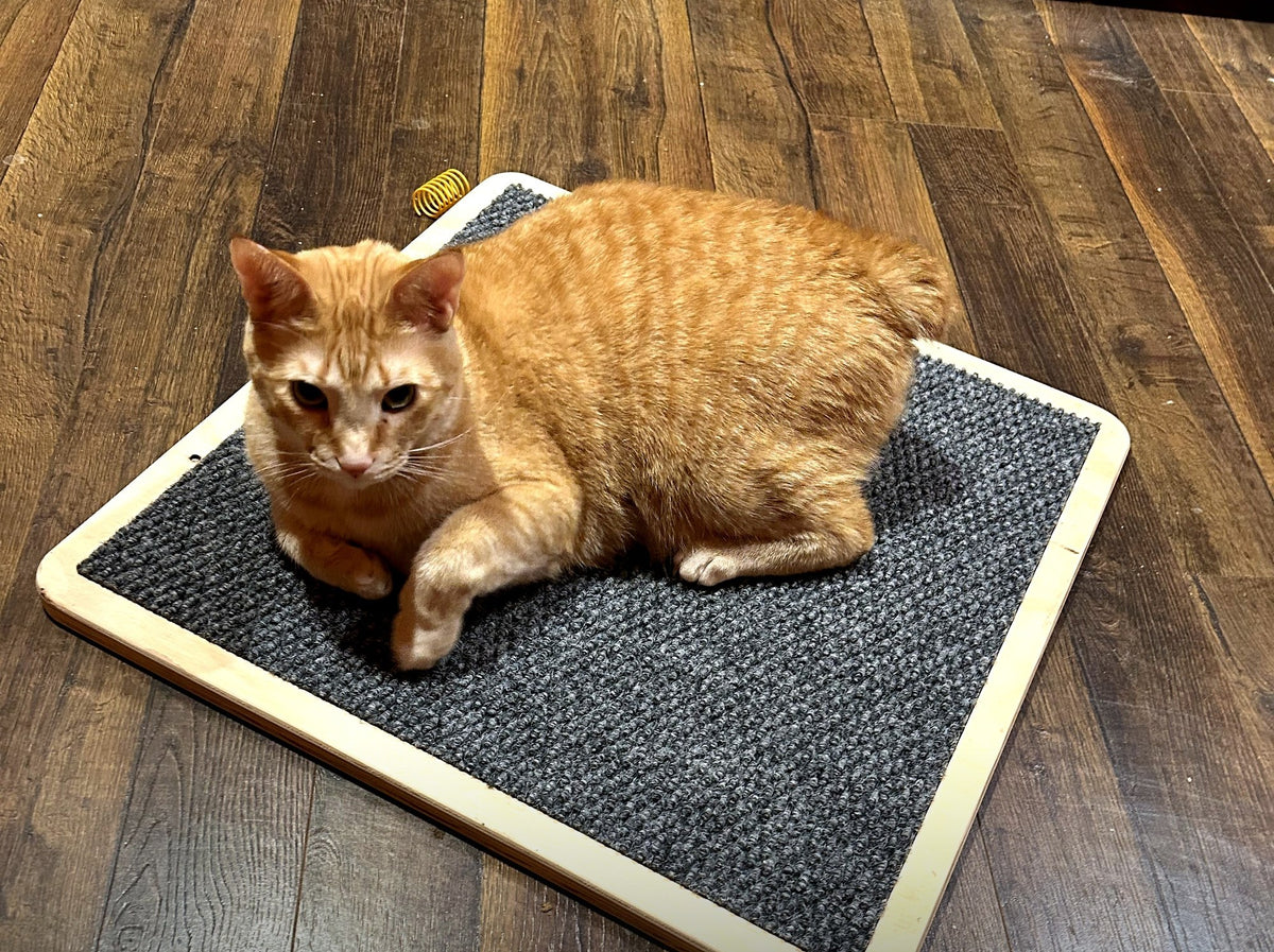Claw Care Ultra Scratch Pad cat scratch pad