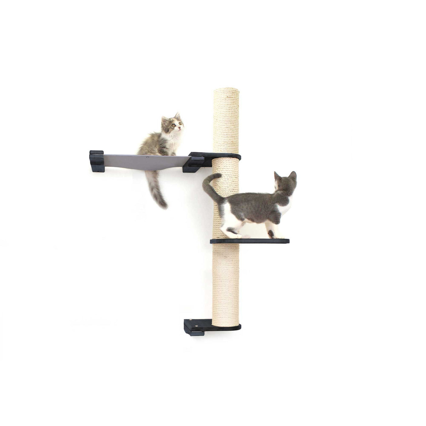 Tall wall mounted cat scratcher tree with a sisal pole installed high near the ceiling