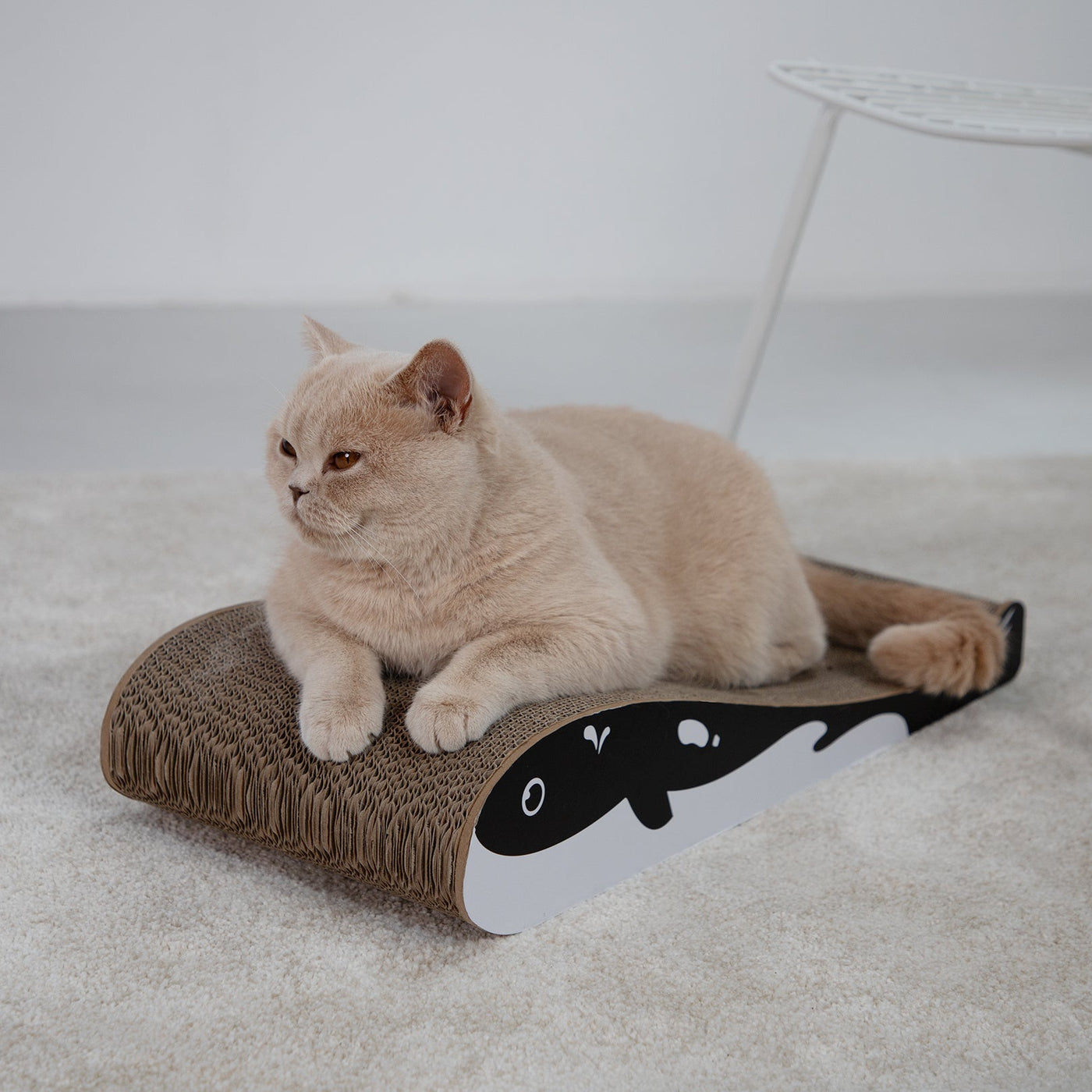 Wally Cat Scratcher