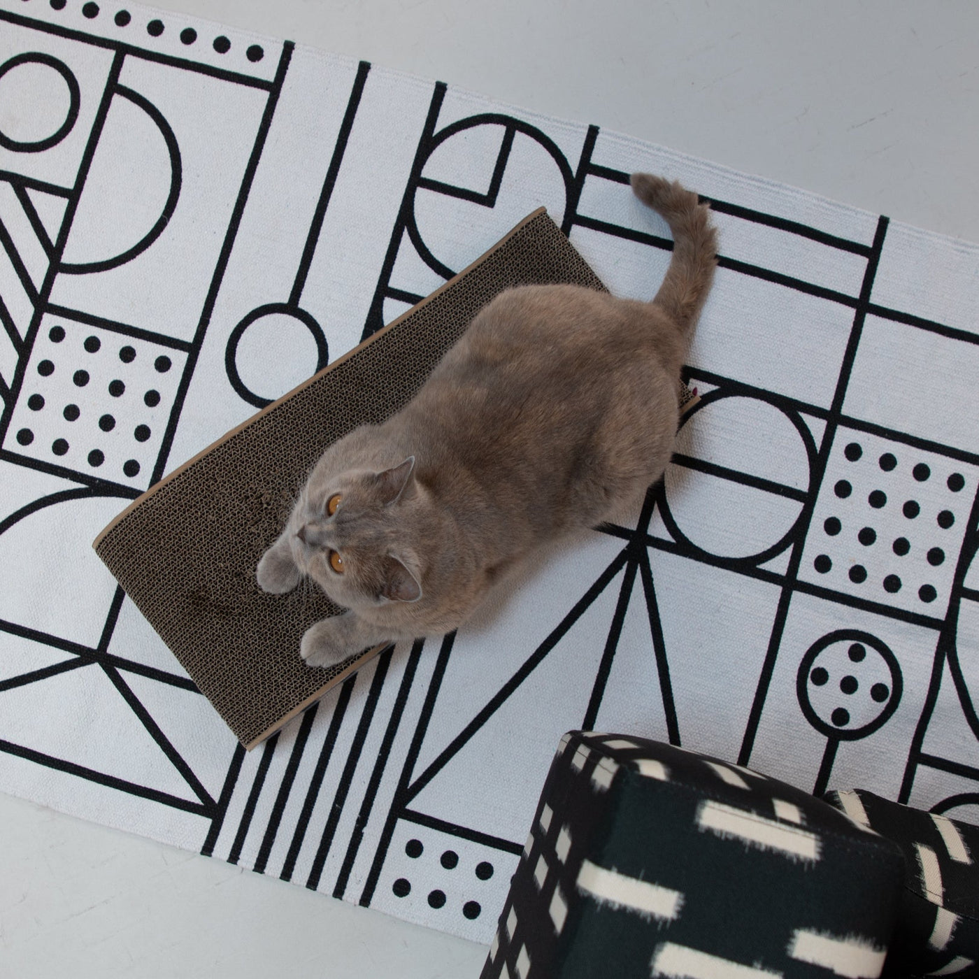 Wally Cat Scratcher