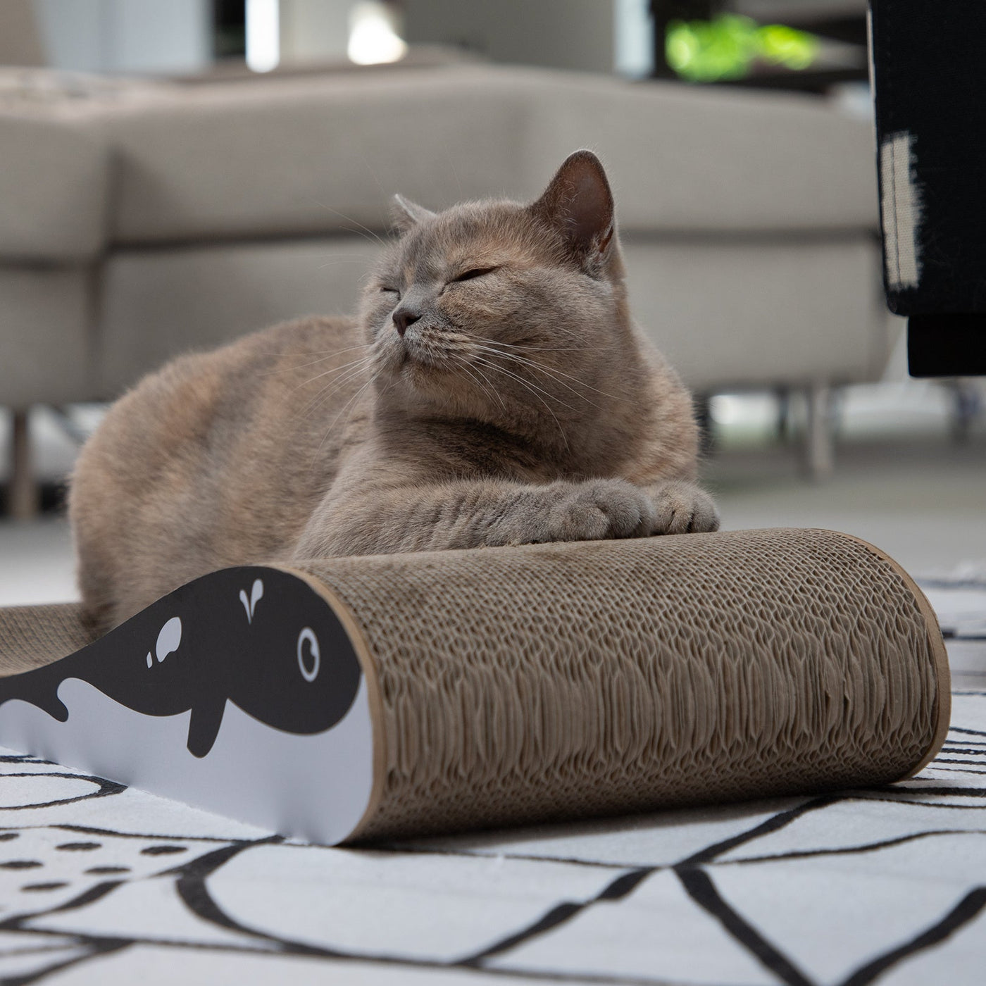Wally Cat Scratcher