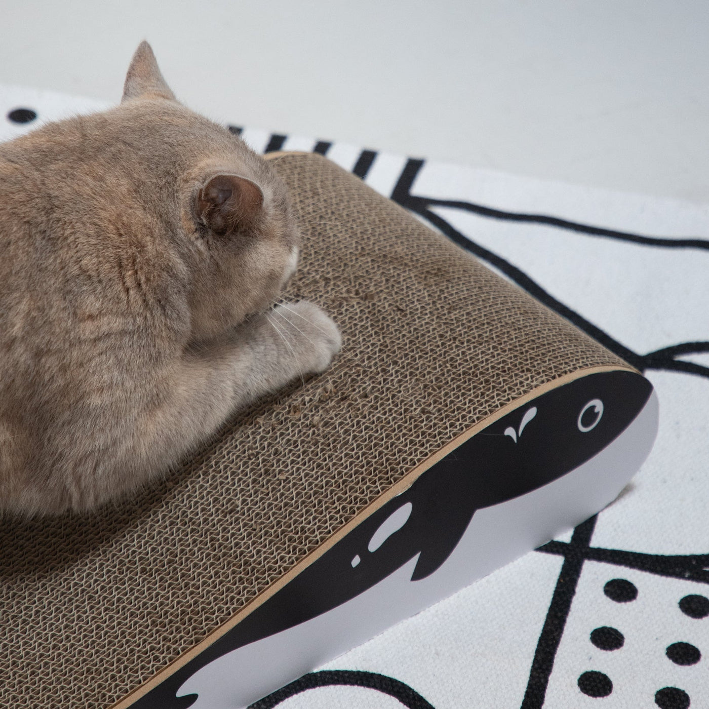Wally Cat Scratcher