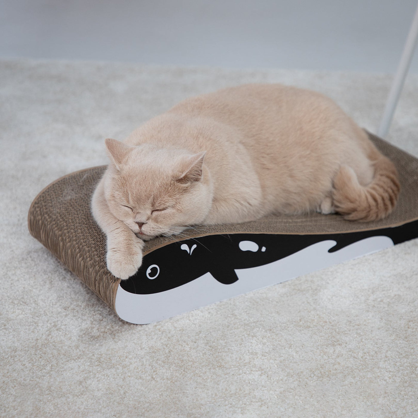 Wally Cat Scratcher