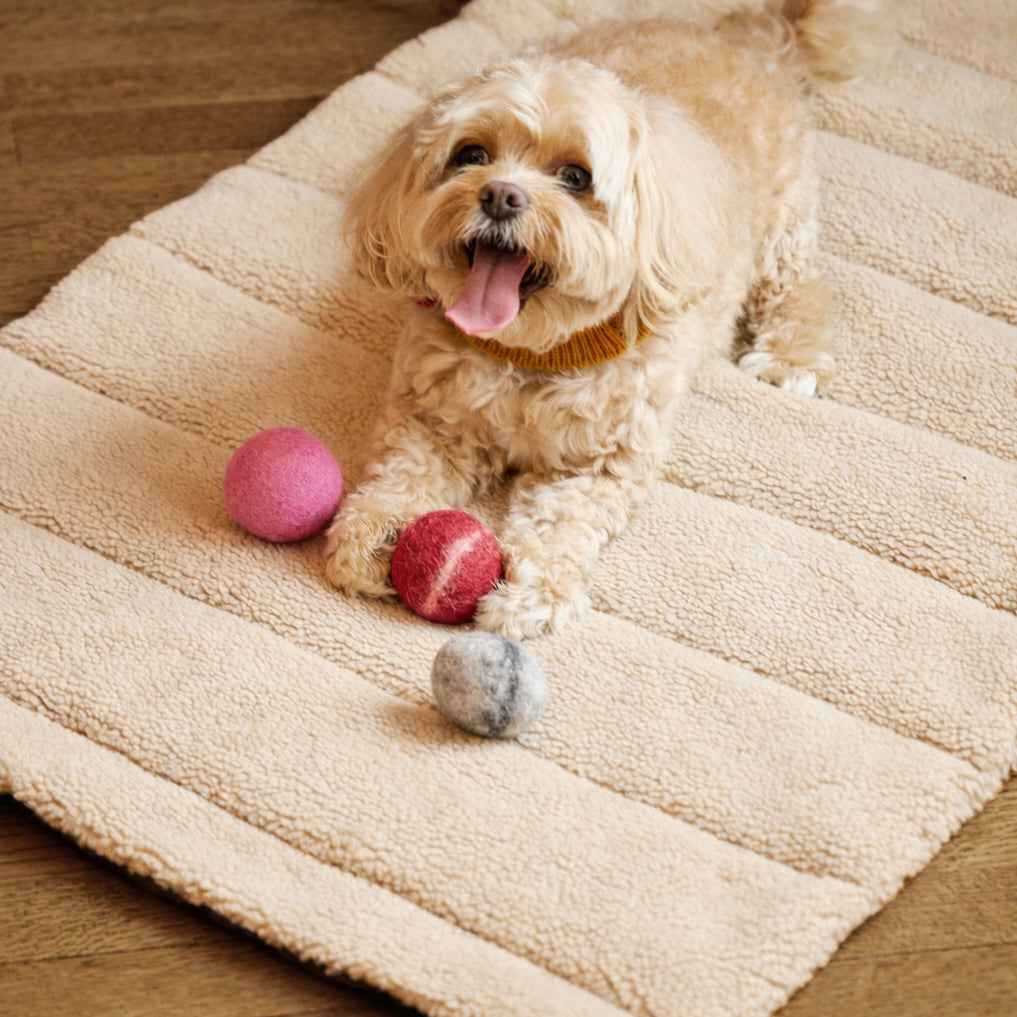 Nooee handmade wool cat toy balls, 5CM