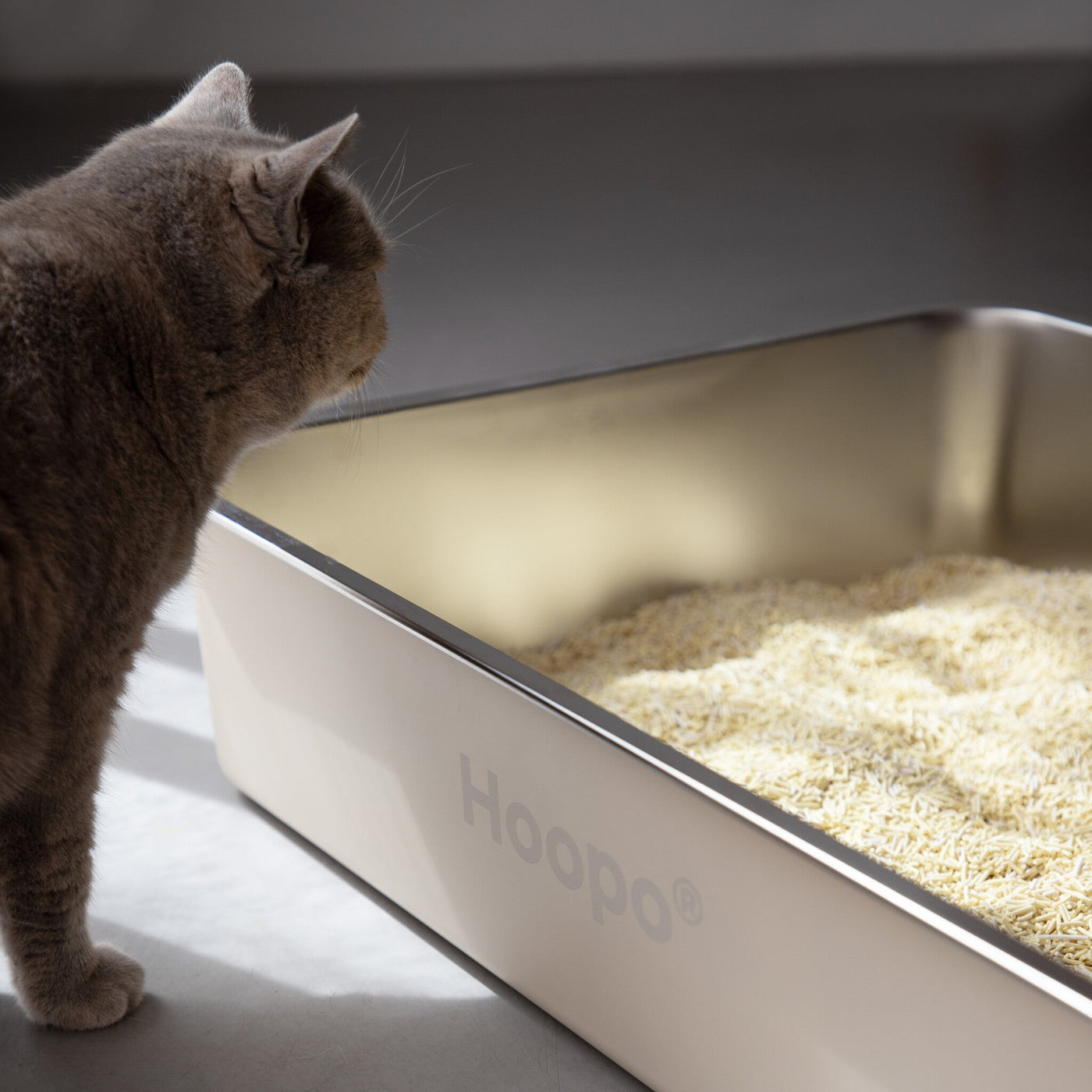 Pool Litter Box
