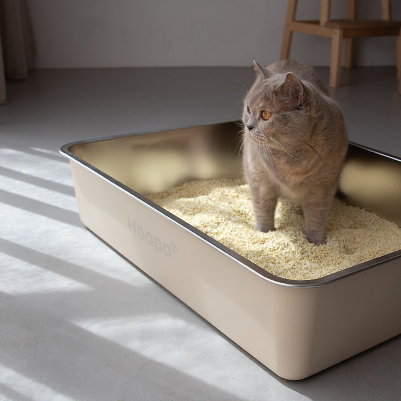 Pool Litter Box