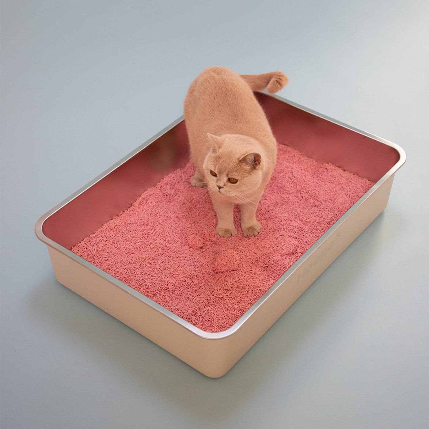 Pool Litter Box