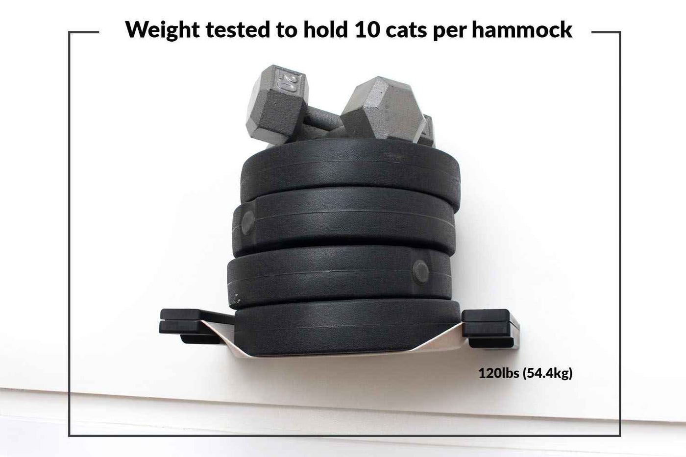 Dog Proof Cat Feeder