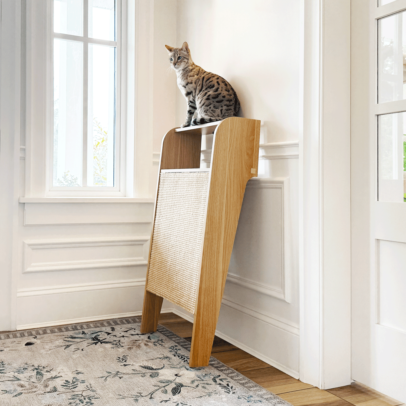 Wesley Cat Wall Scratcher by 4Cats & Dogs, view 3