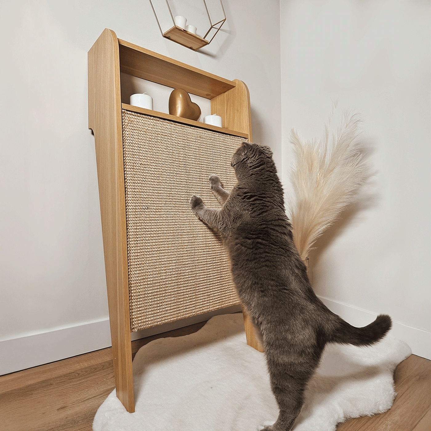 Wesley Cat Wall Scratcher by 4Cats & Dogs, view 2