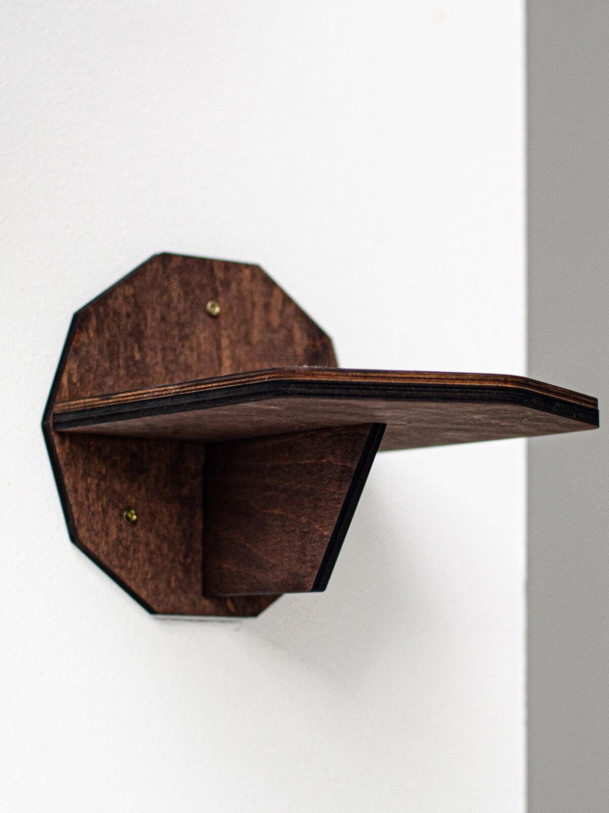 Wall Climbing Steps for Cats