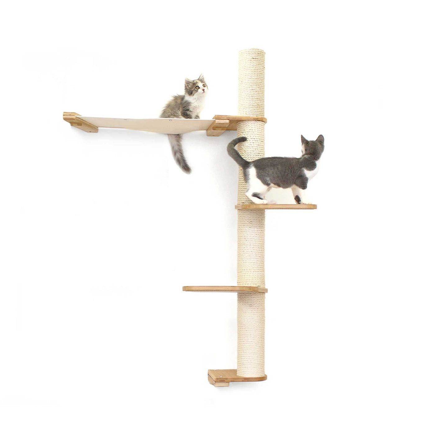 Tall wall mounted cat scratcher tree with a sisal pole installed high near the ceiling