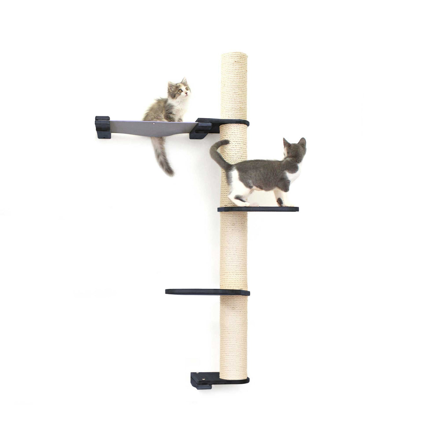 Tall wall mounted cat scratcher tree with a sisal pole installed high near the ceiling