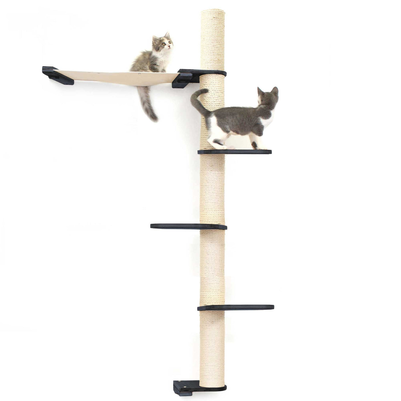 Tall wall mounted cat scratcher tree with a sisal pole installed high near the ceiling