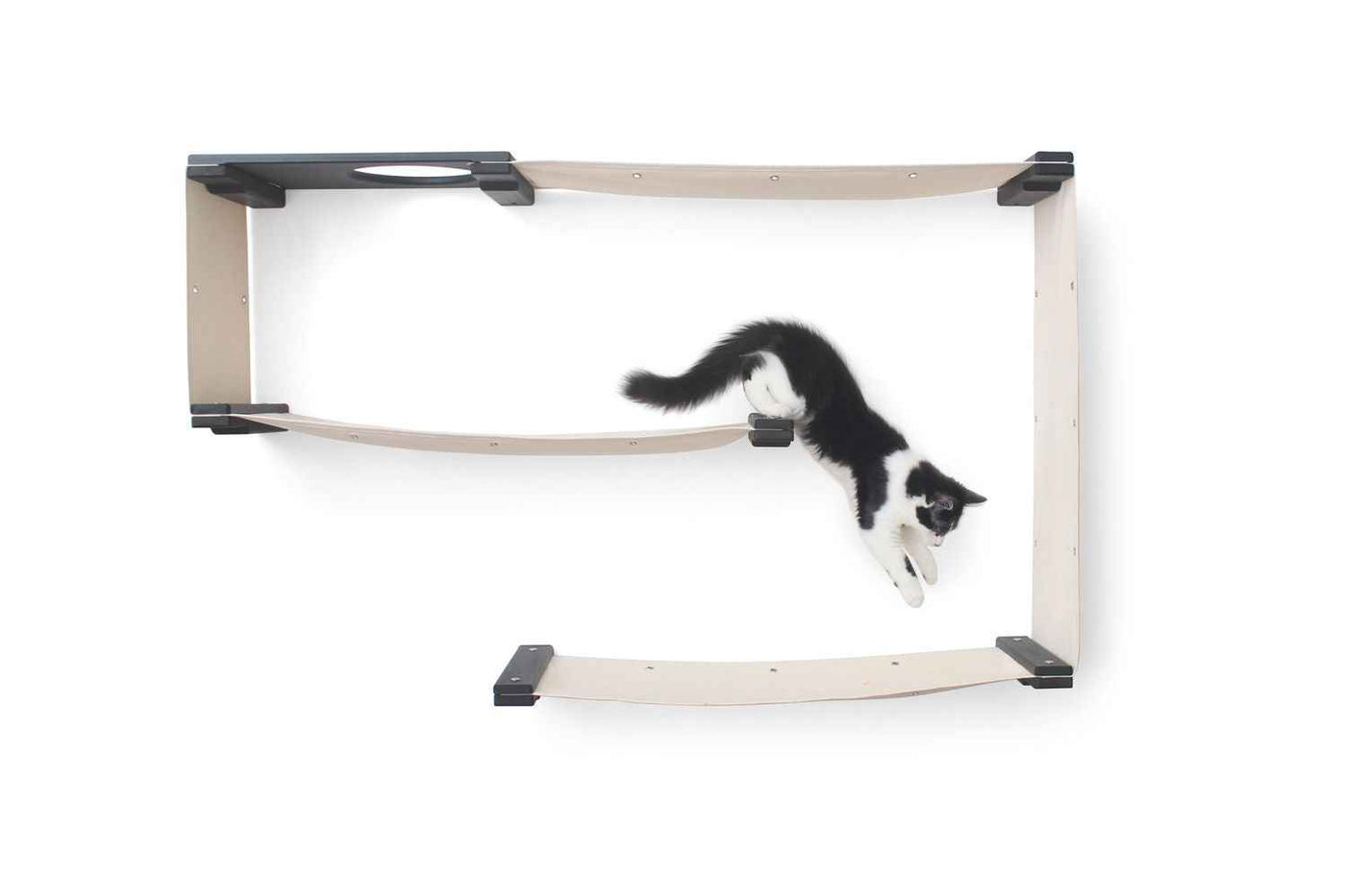 Cat Wall Maze