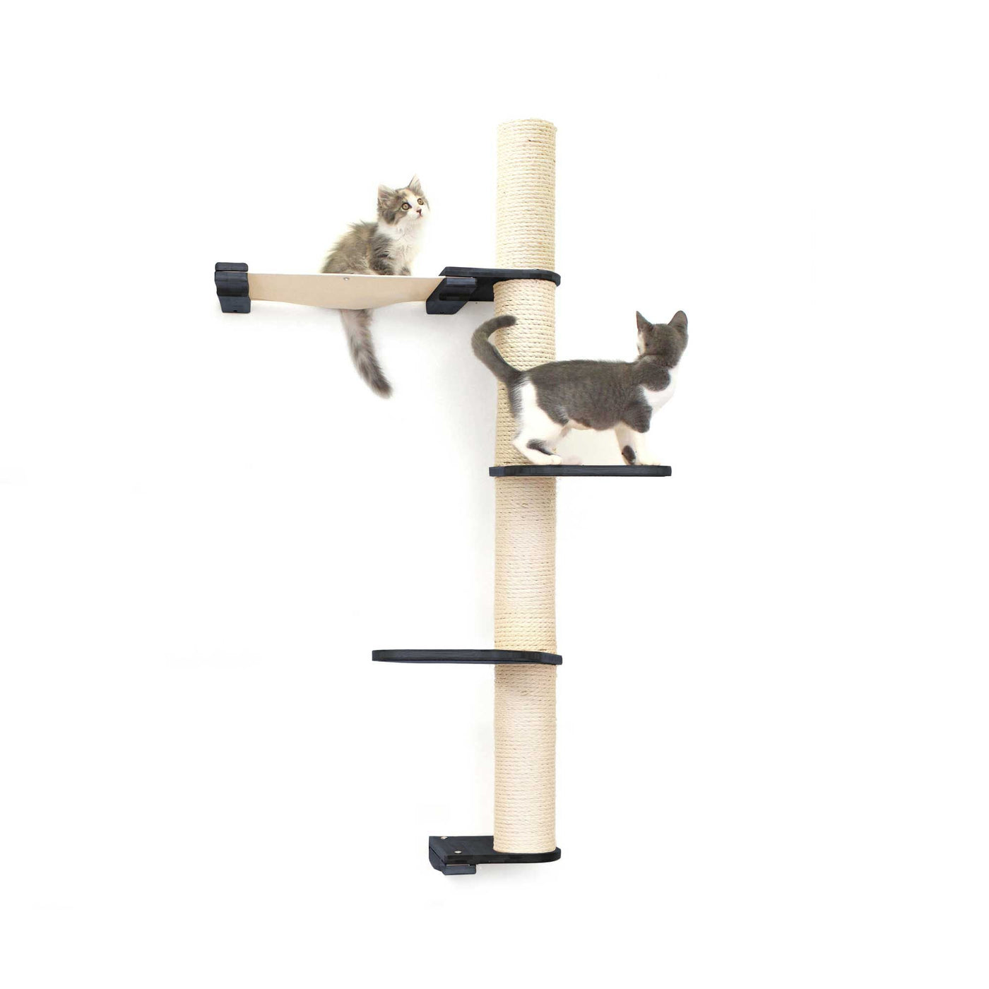 Tall wall mounted cat scratcher tree with a sisal pole installed high near the ceiling